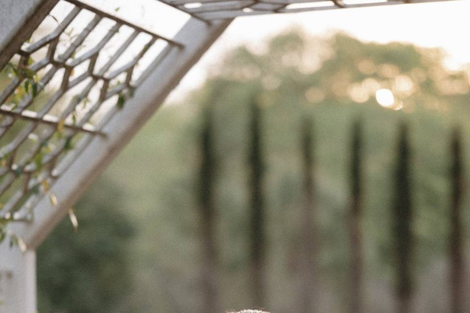 Wedding in NJ