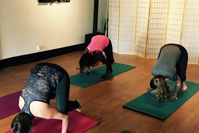 The Yoga Scene