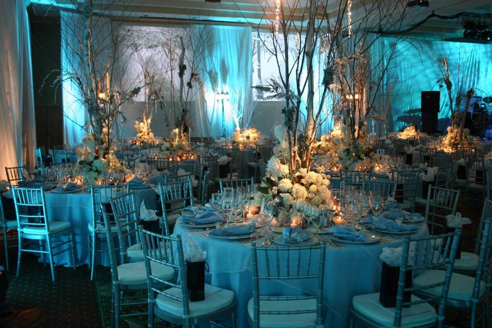 Avant-Garde, William & Company Floral Design Studio