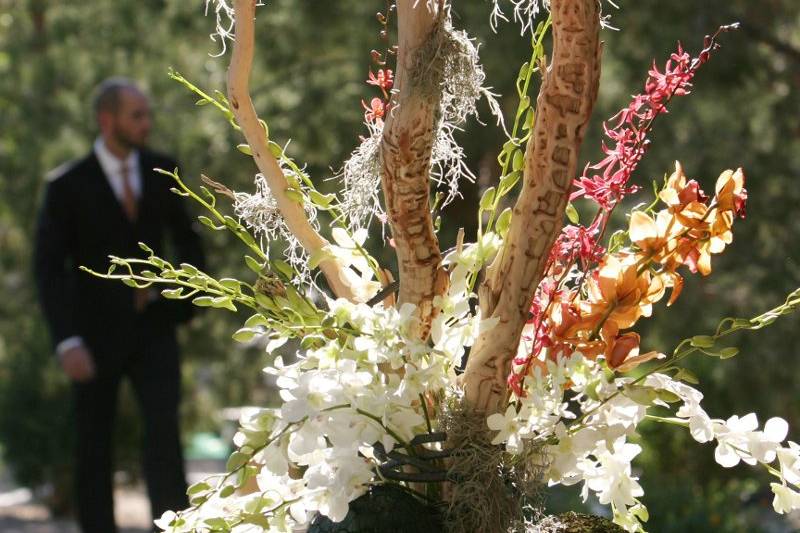 Avant-Garde, William & Company Floral Design Studio