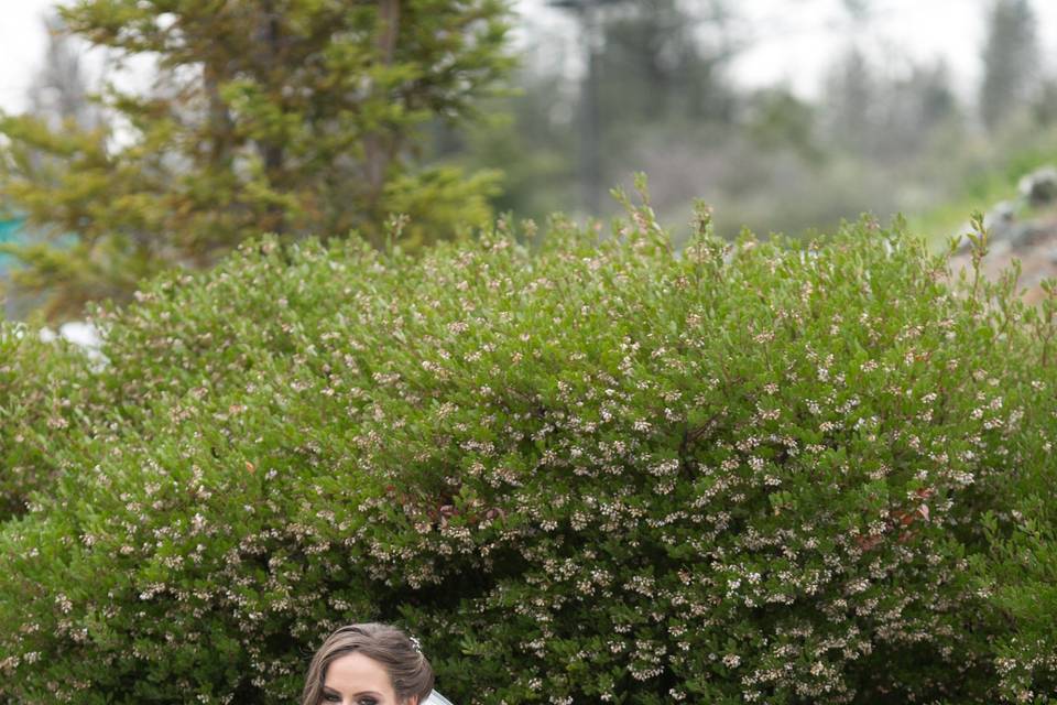 Bridal portrait