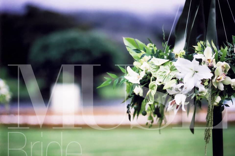 MUSE Bride