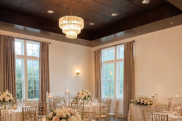 Elevated Every Occasion