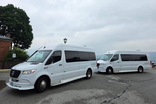 14 Pax Mercedes Limo Bus