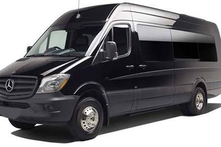 12 Passenger Party Van