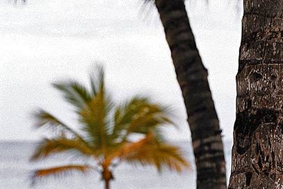 Dominican Rep Beach Ceremony