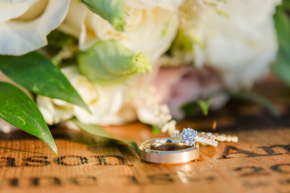 Betsy Hansen Photography