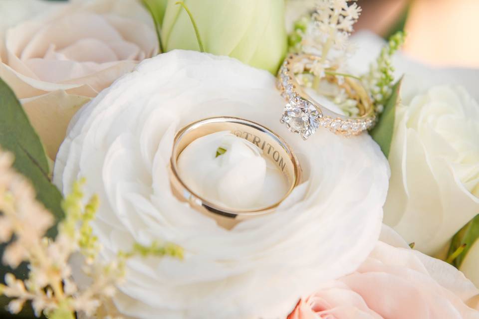 Betsy Hansen Photography