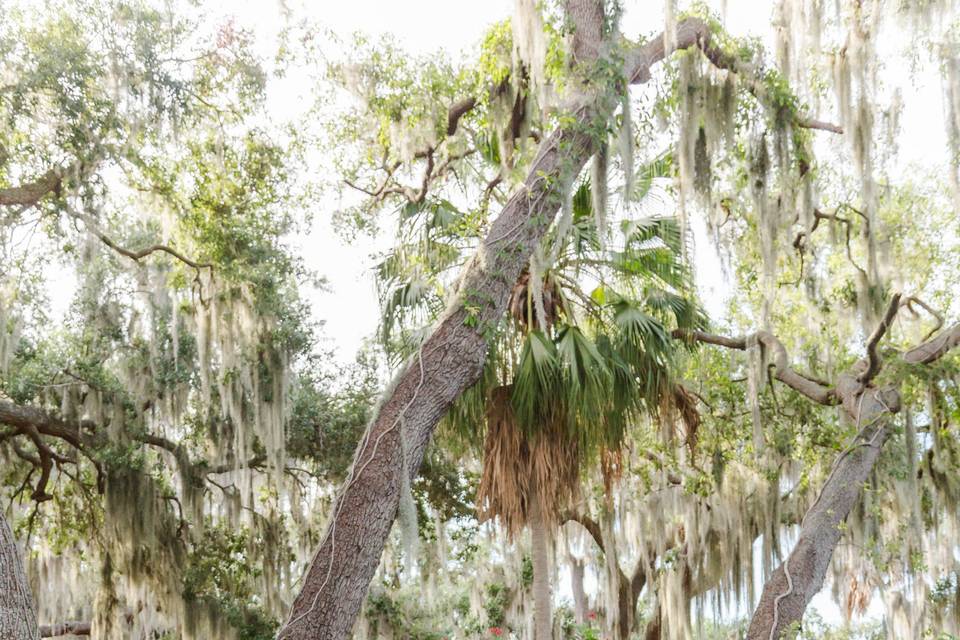 Betsy Hansen Photography