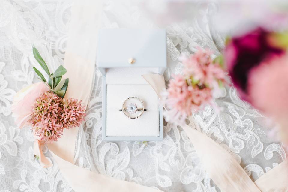 Betsy Hansen Photography