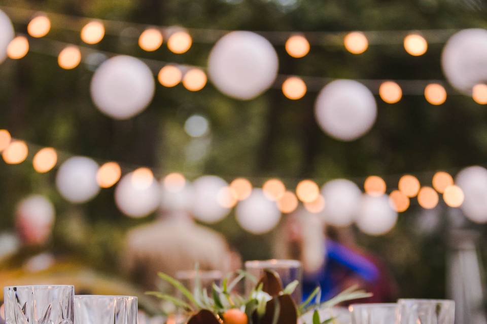 Betsy Hansen Photography