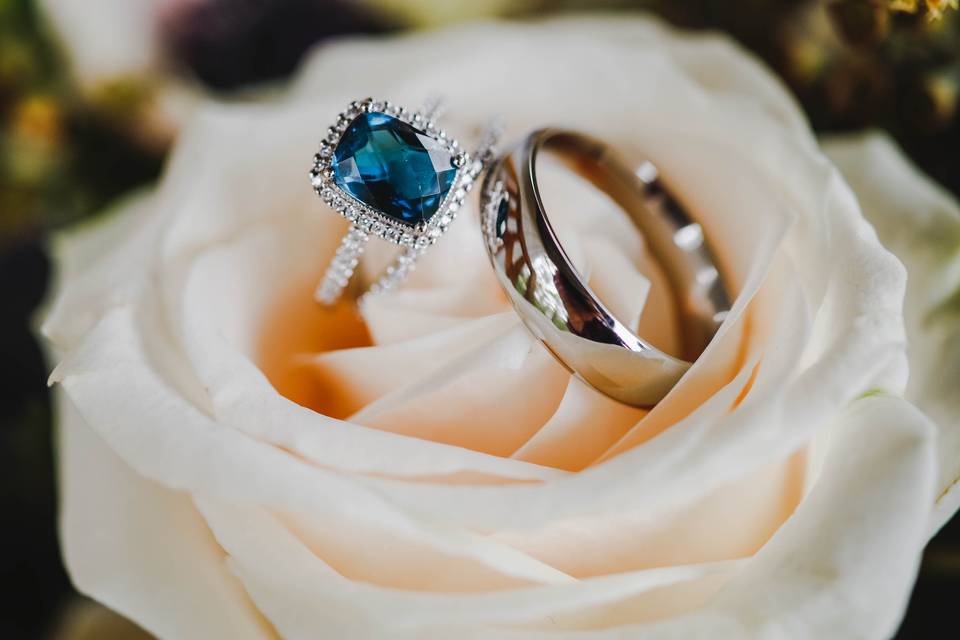 Betsy Hansen Photography