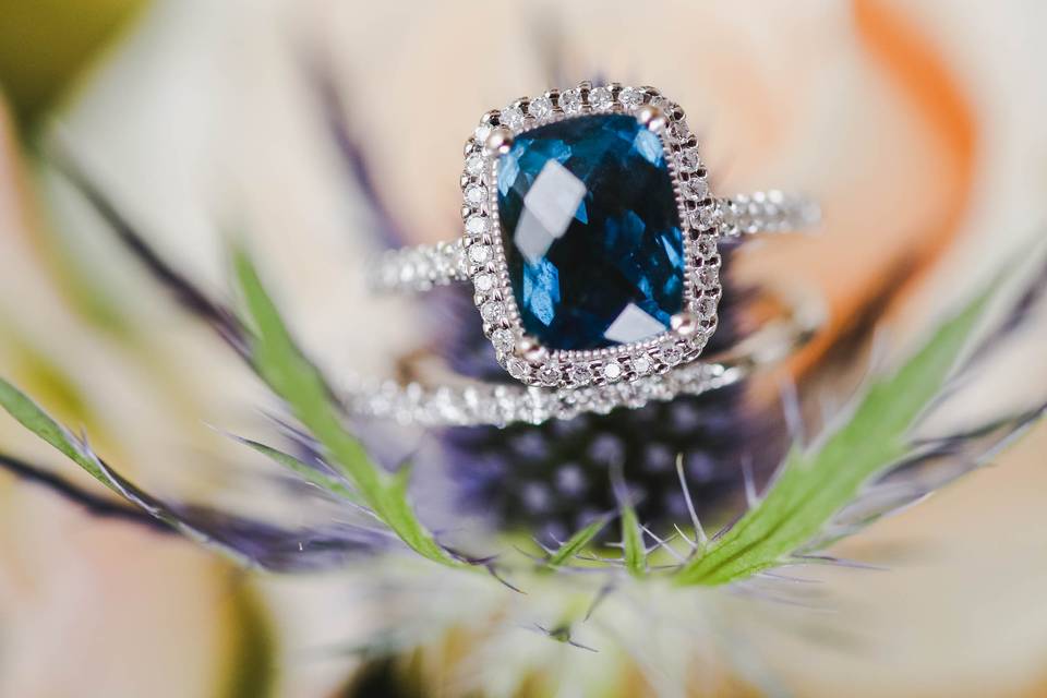 Betsy Hansen Photography
