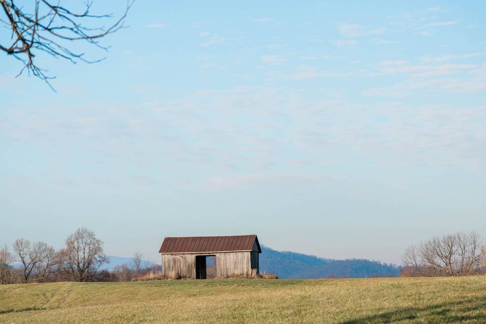 Betsy Hansen Photography