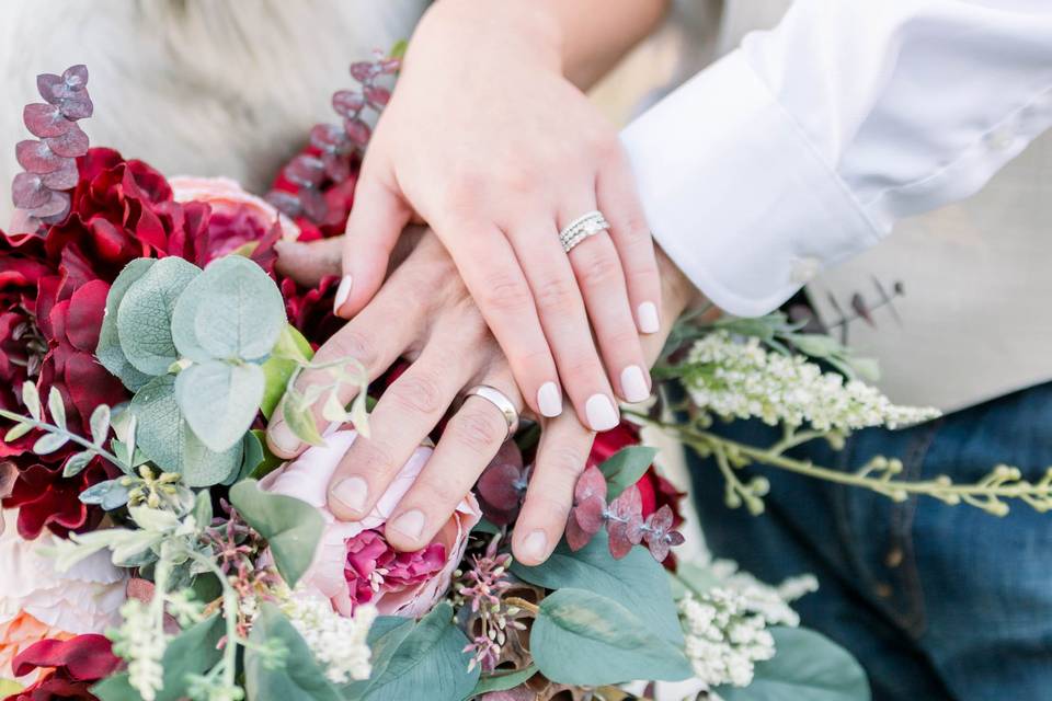 Betsy Hansen Photography