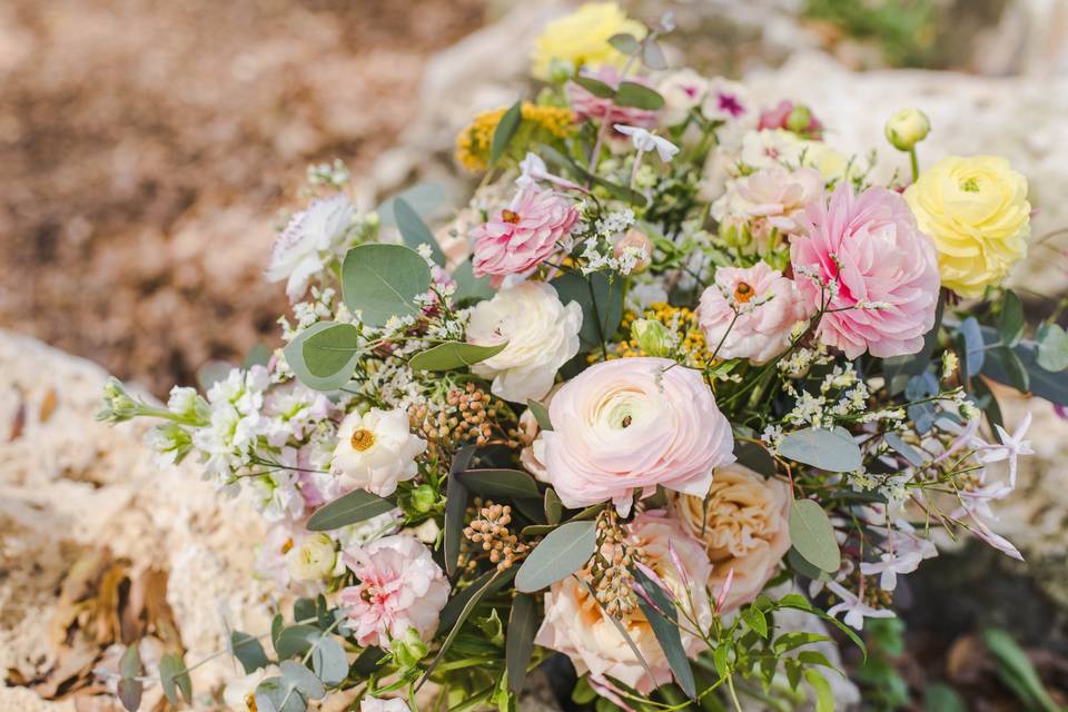 Betsy Hansen Photography