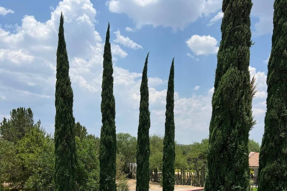 Rancho Las Sabinas