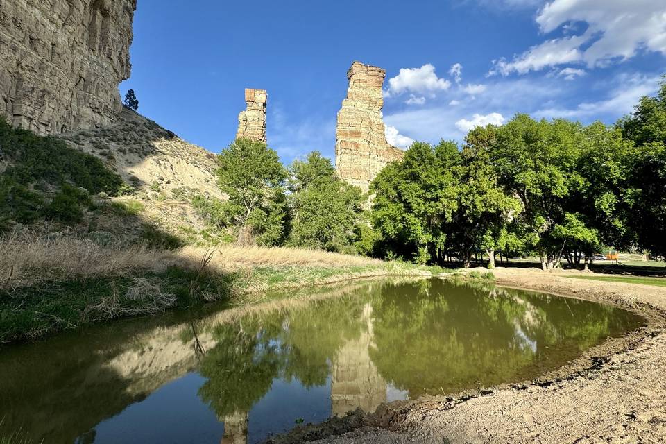 Pond