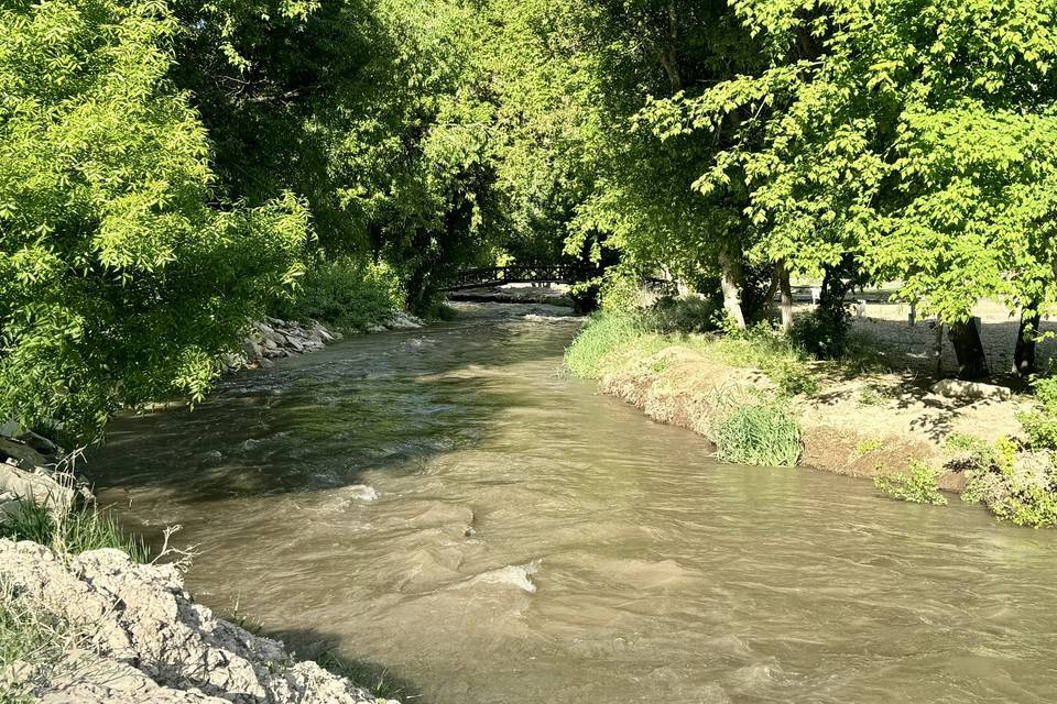 Strawberry River