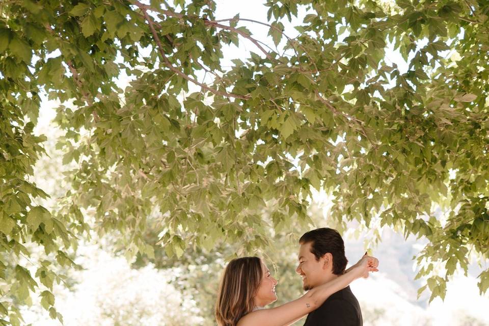 Bridals in the Camping Cabin