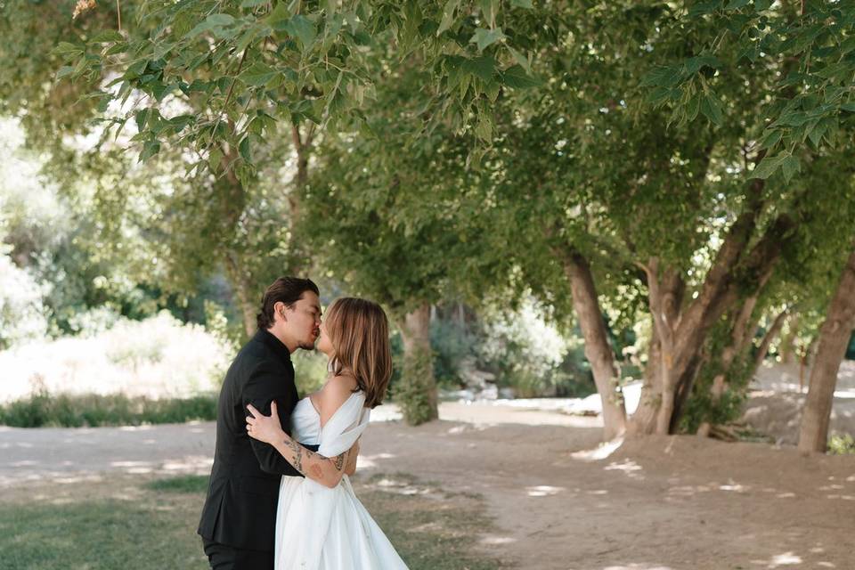 Bridals near the pond