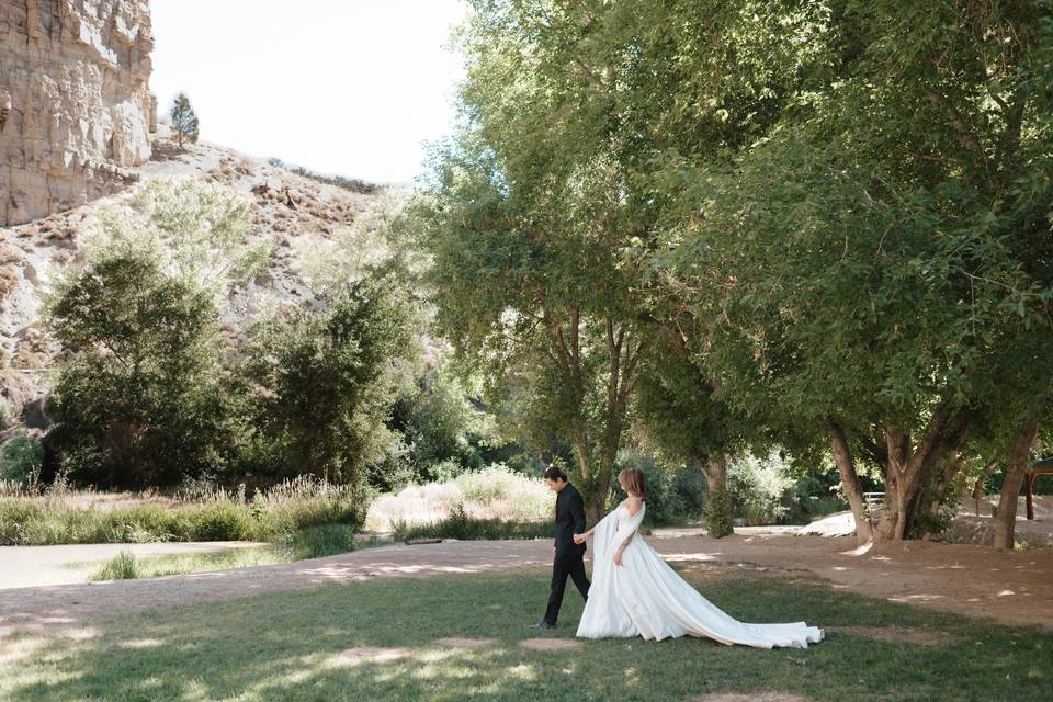 Bridals near the pond