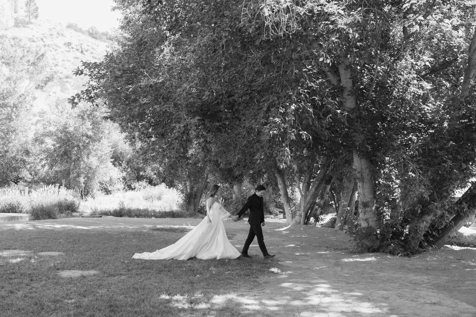 Bridals near the pond