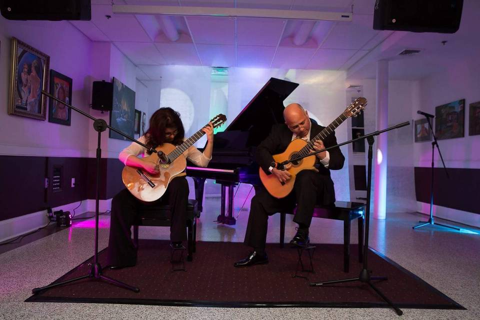 Elegant Acoustic Guitar & Inst