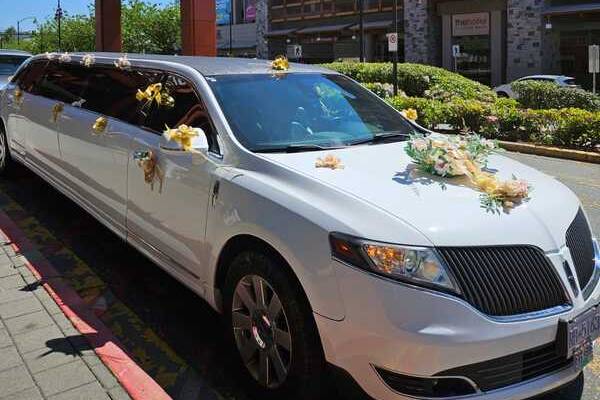 Stylish White Stretch Limo