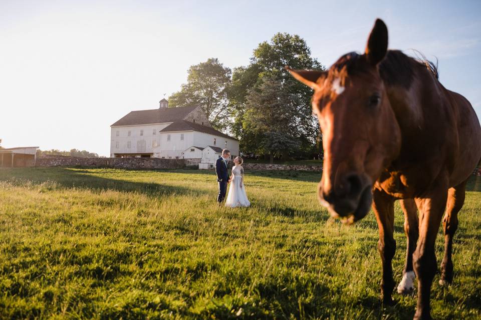 Newlyweds in the field