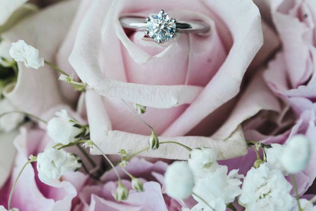 Lavender | Mike Pham Photography