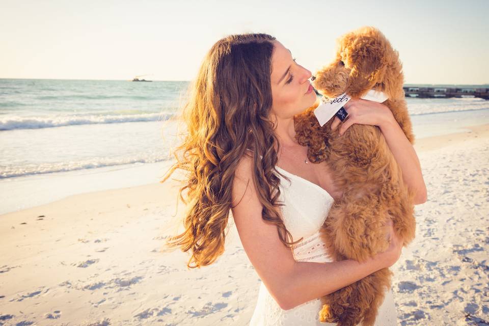 Wedding on the beach