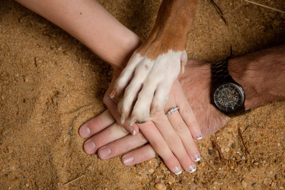 Couple and dog