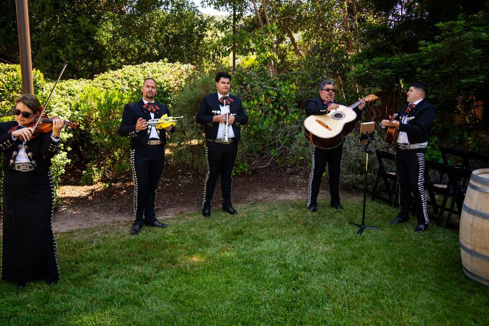 Live Music