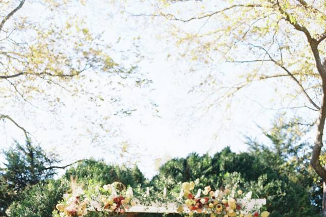 Jessica Lapp Photography