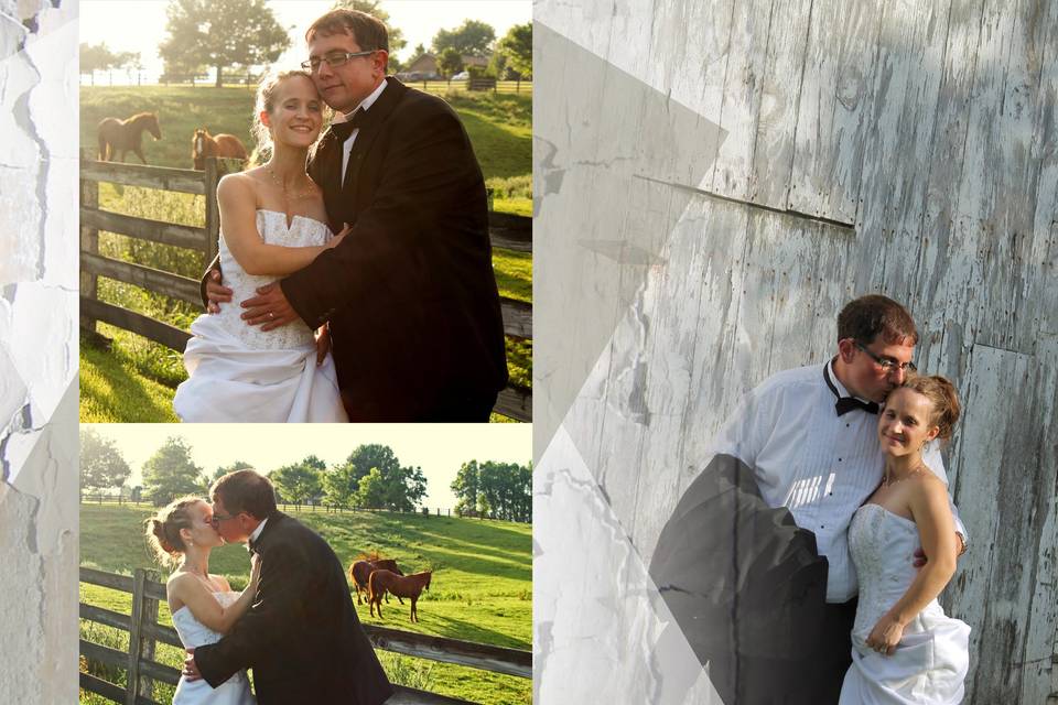 BritterBug's Photography