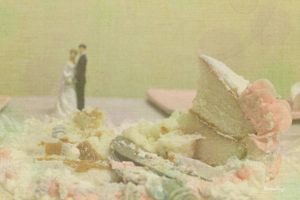 BritterBug's Photography