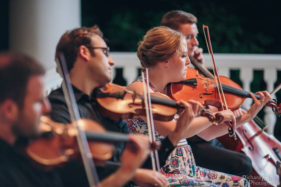 Our String Quartet