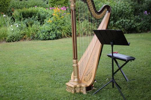 Grand Pedal Harpist Set-Up