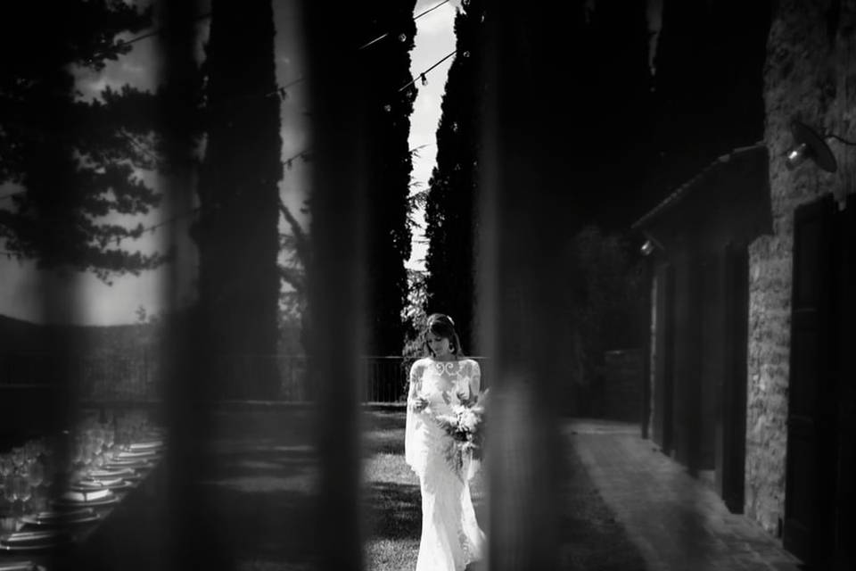 Vanessa Weddings and Events