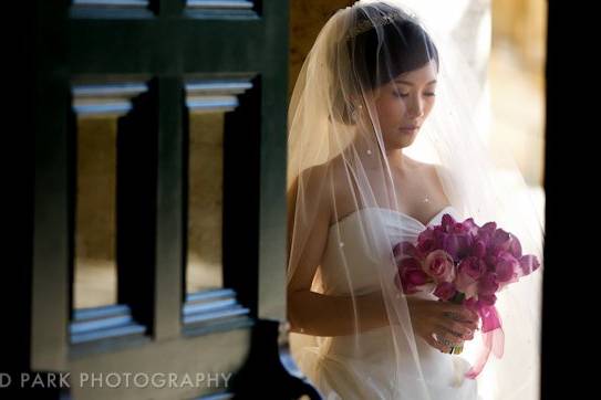 Veiled bride | Photo by D. Park Photography.