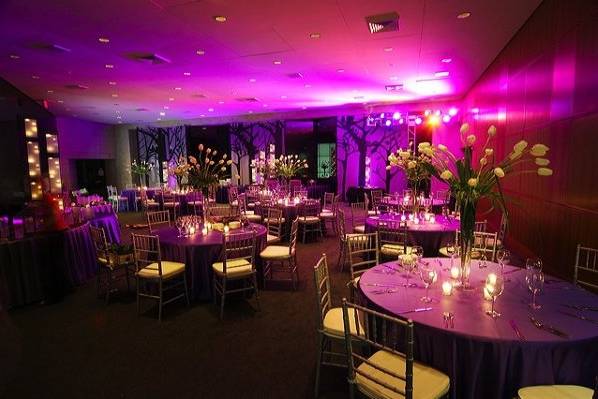 Amazing purple and amber lighting enhanced this dinner area.