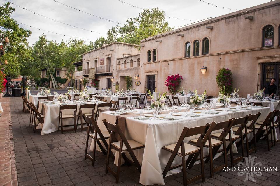 Outdoor reception setup