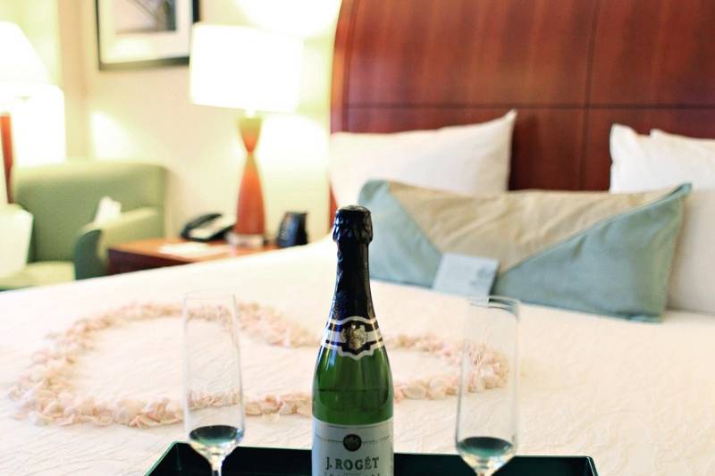 Hilton Garden Inn Tampa Airport Westshore