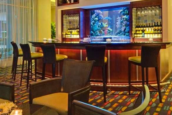 Hilton Garden Inn Tampa Airport Westshore