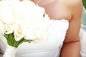 Bride's portrait