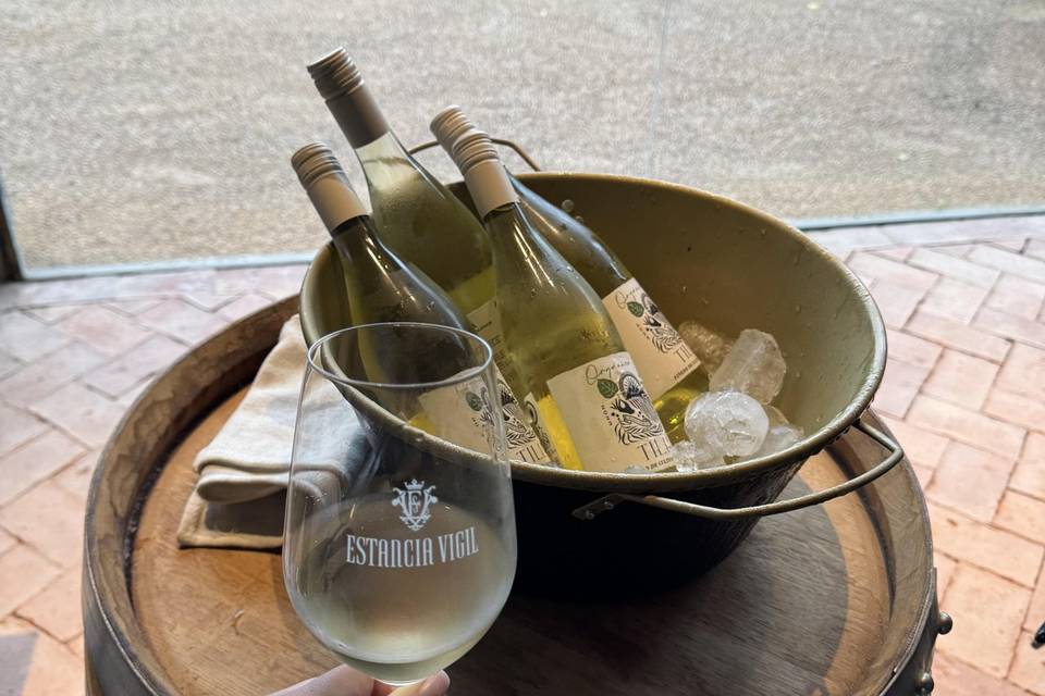 Argentina Wine TOur