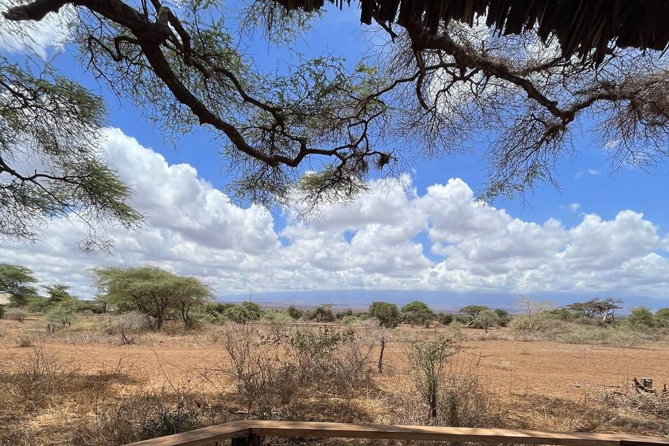 Luxury Safari in Kenya