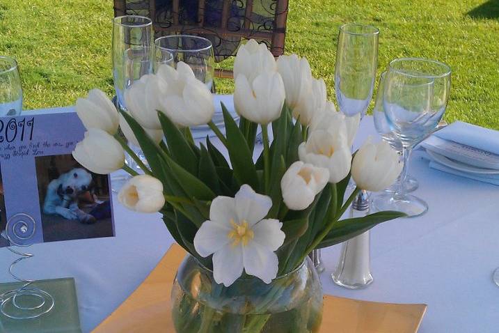 simple white tulips happily will greet the guests.