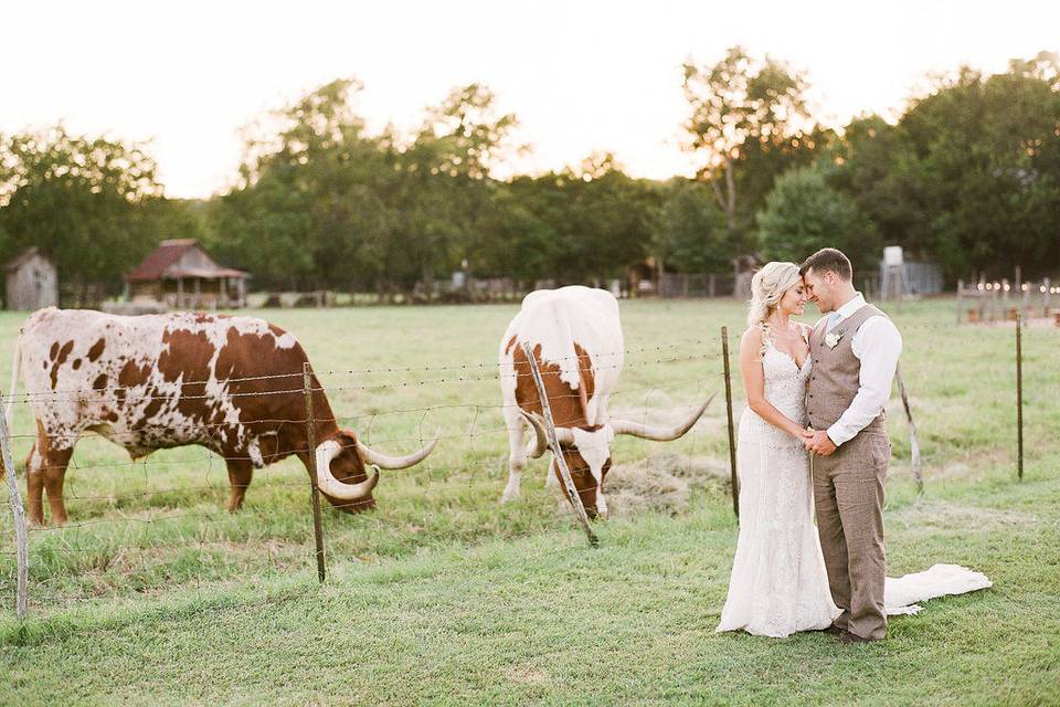 Gruene Estate